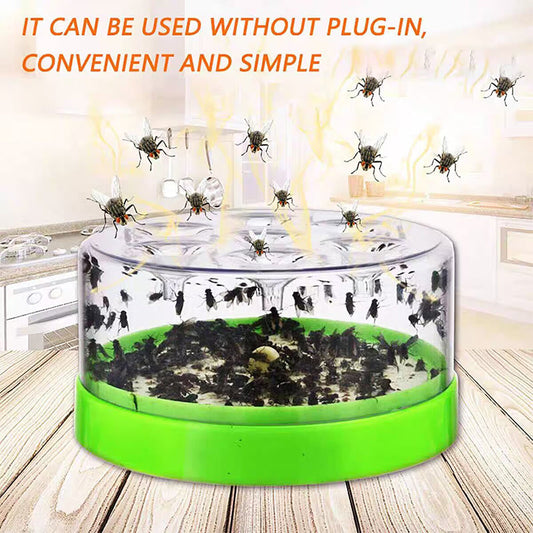 🪰 Piège à mouches écologique — Libérez votre maison des insectes indésirables ! 🛑